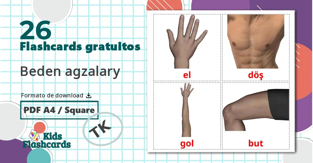 26 Flashcards de Partes do Corpo