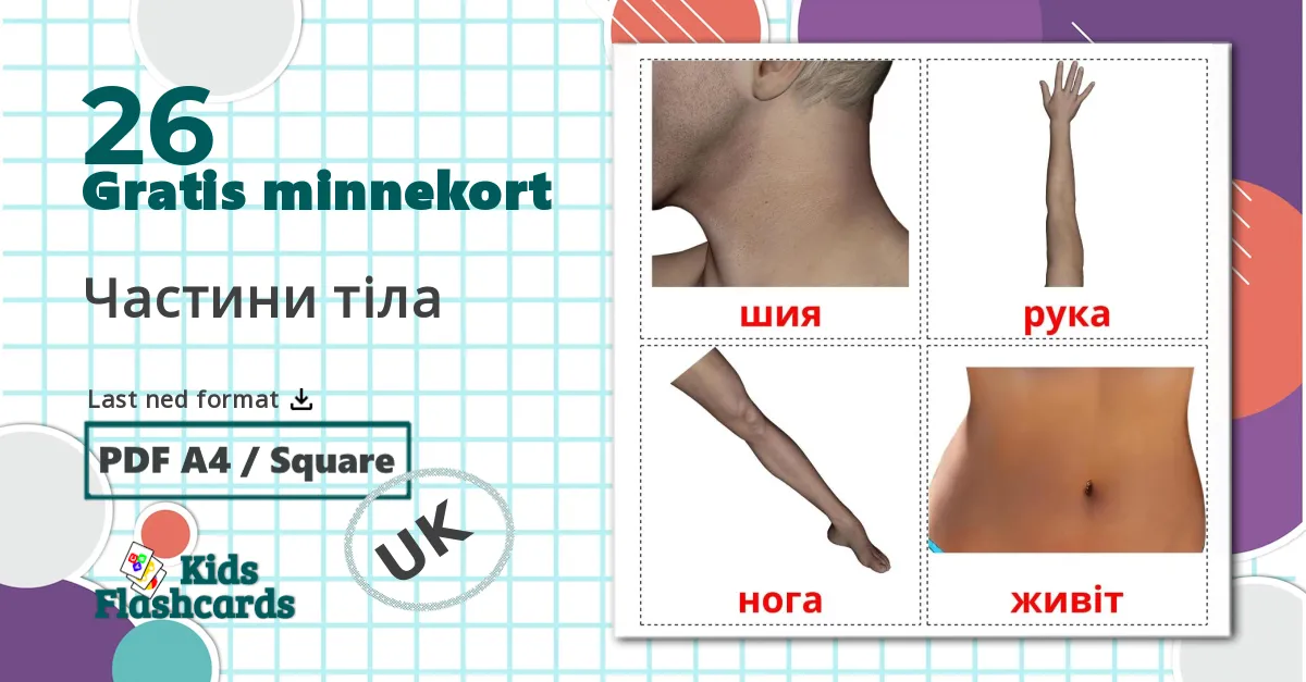 26 Частини тіла bildekort