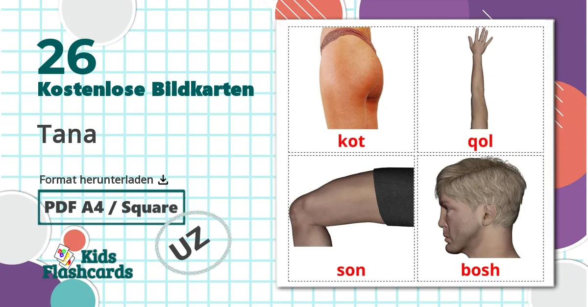 26 Bildkarten für Tana