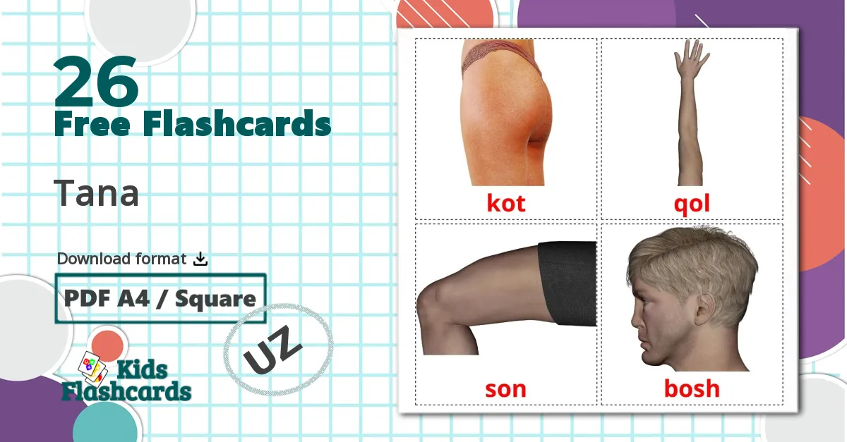 26 Body Parts flashcards