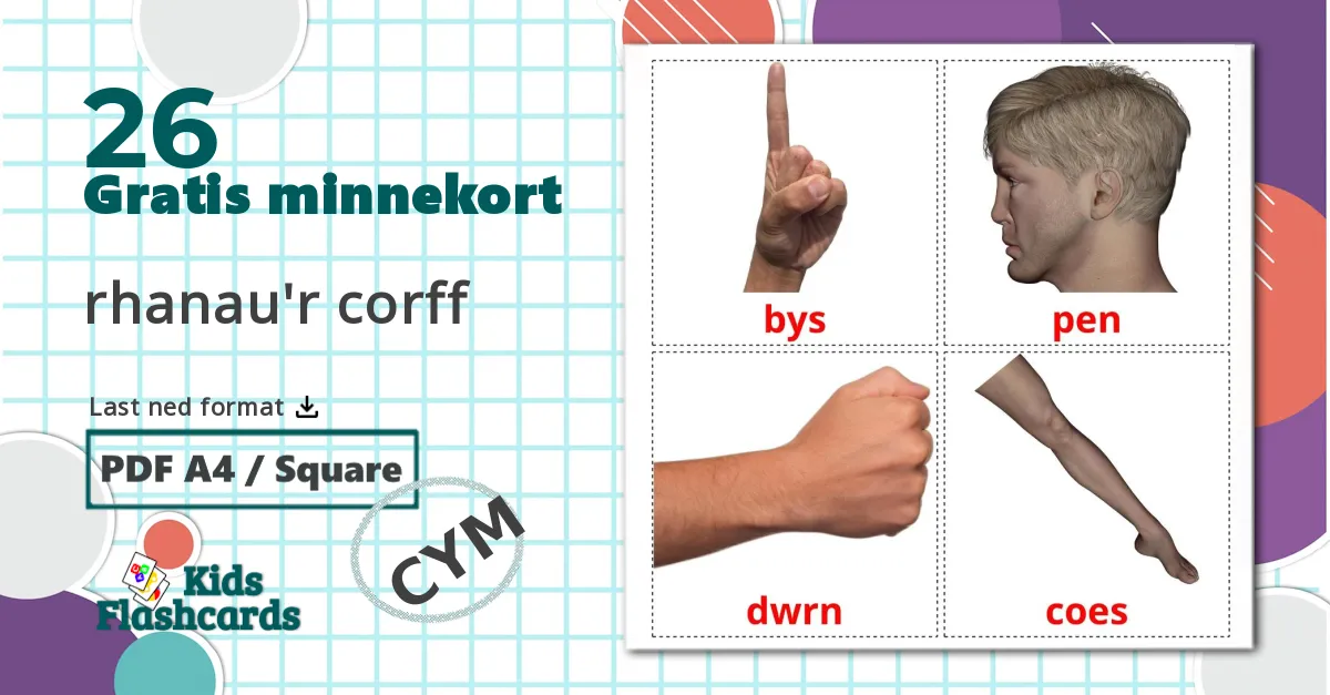 26 rhanau'r corff bildekort