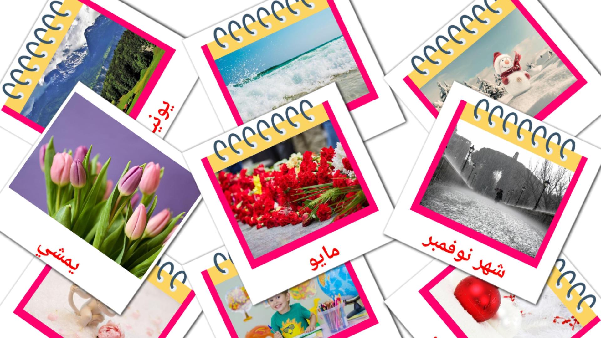 Arabisch الرزنامةe Vokabelkarteikarten
