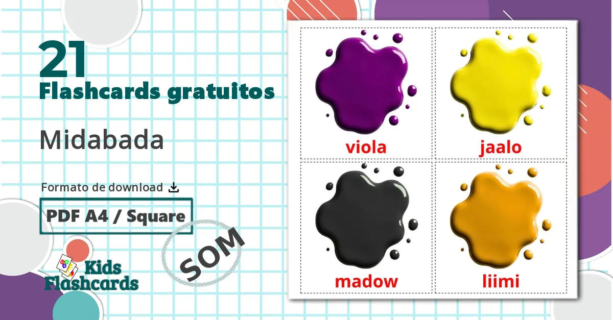 21 Flashcards de Midabada