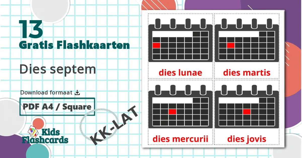 13 Dagen van de week flashcards