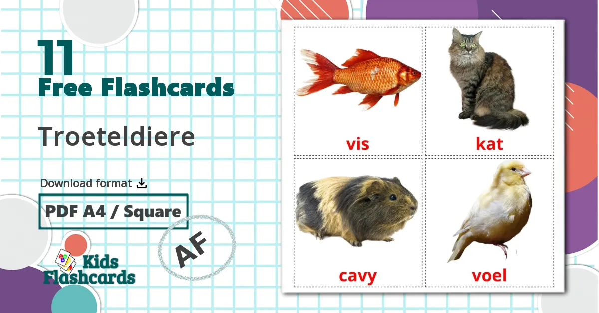 11 Troeteldiere flashcards