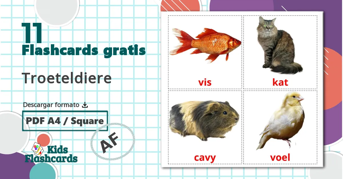 Animales Domésticos - tarjetas de vocabulario en afrikáans