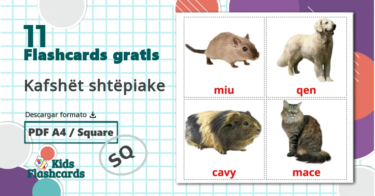 Animales Domésticos - tarjetas de vocabulario en albanés