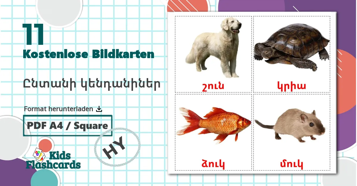 11 Bildkarten für Ընտանի կենդանիներ