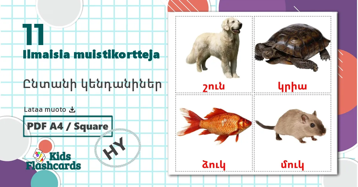 11 Ընտանի կենդանիներ lasten kuvakortit