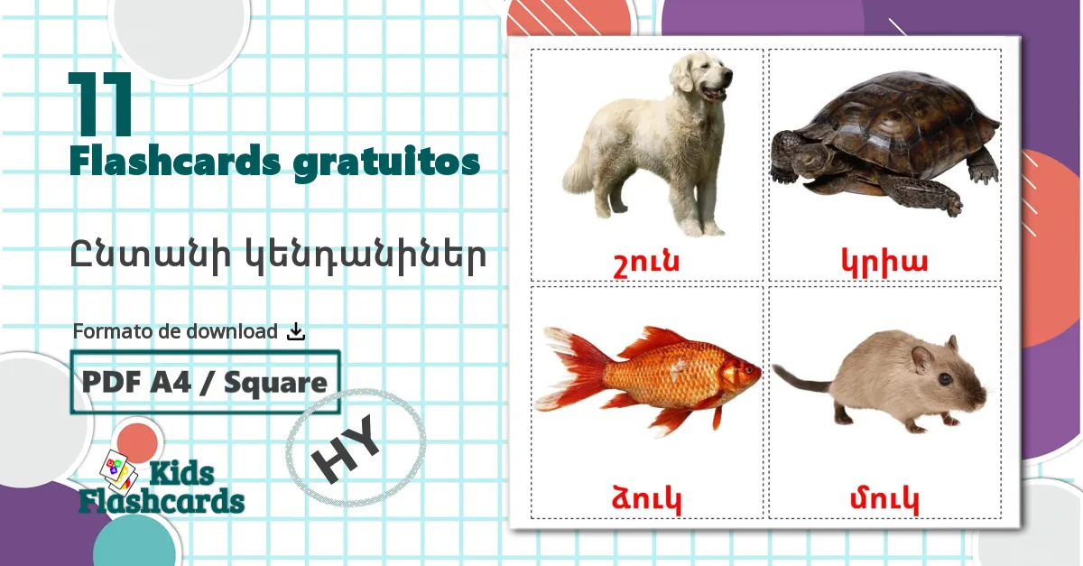 11 Flashcards de Ընտանի կենդանիներ