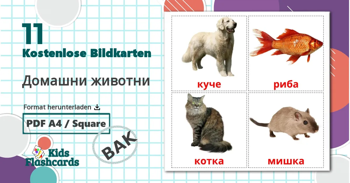 11 Bildkarten für Домашни животни