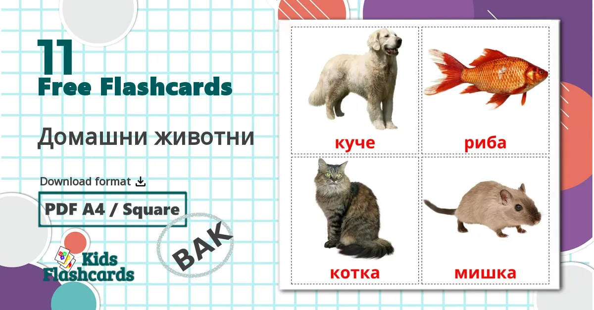 11 Домашни животни flashcards