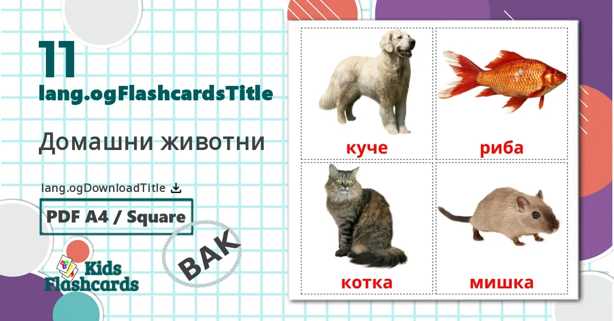 11 Домашни животни bildkort för barn