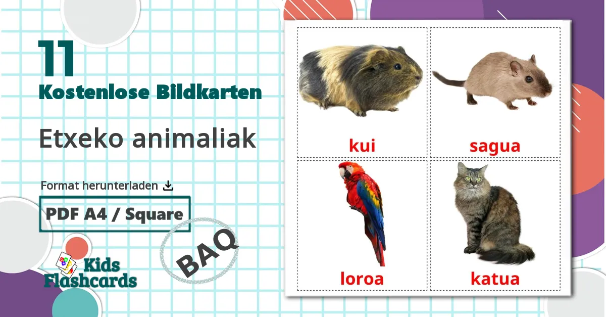 11 Bildkarten für Etxeko animaliak