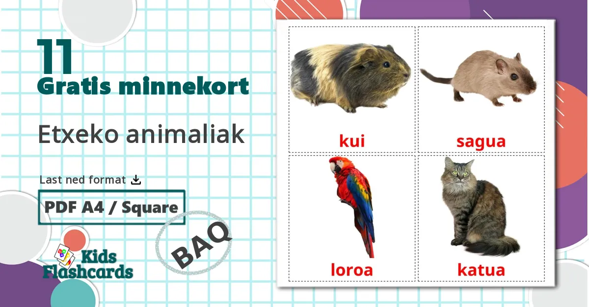 11 Etxeko animaliak bildekort