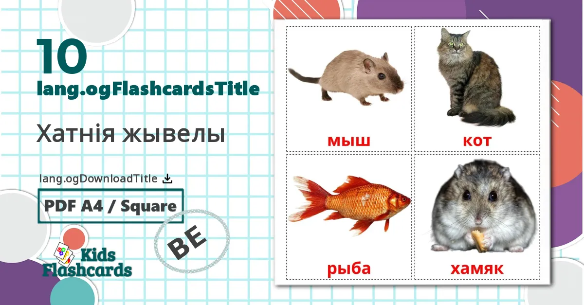 10 Xатнiя жывелы bildekort