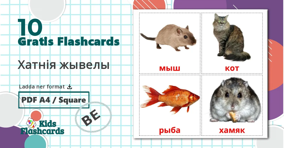 10 Xатнiя жывелы bildkort för barn
