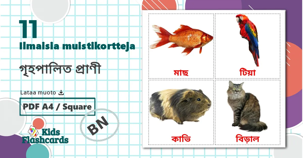 11 গৃহপালিত প্রাণী  lasten kuvakortit