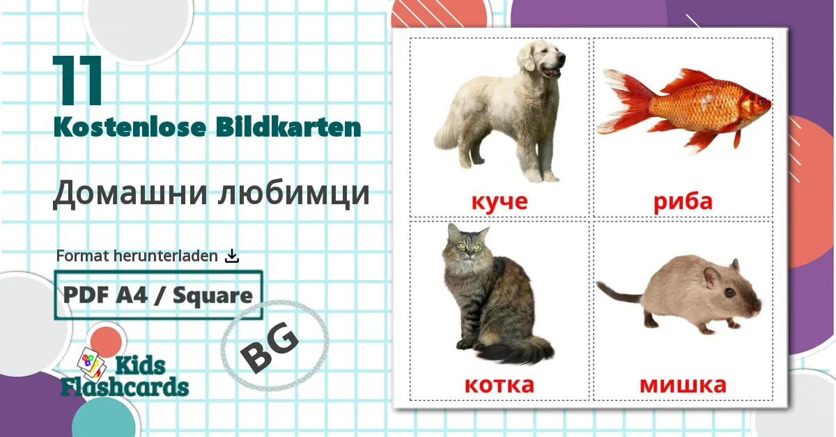 11 Bildkarten für Домашни любимци