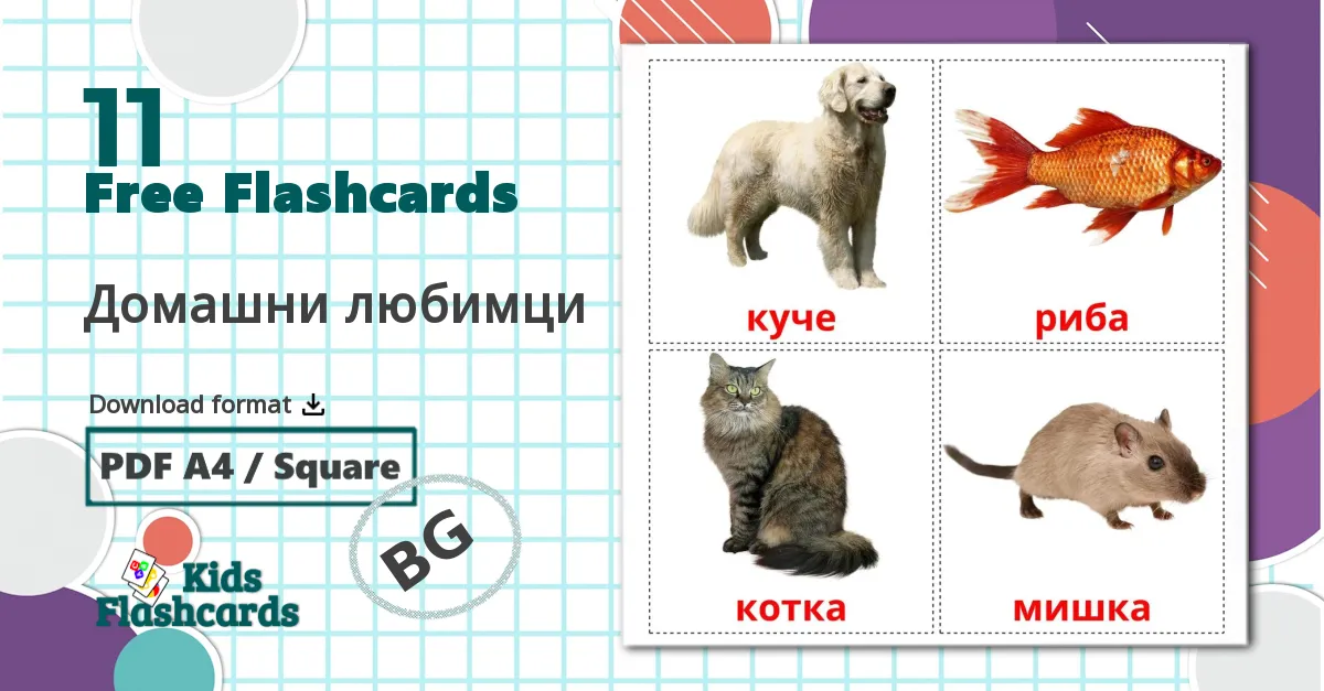 11 Домашни любимци  flashcards