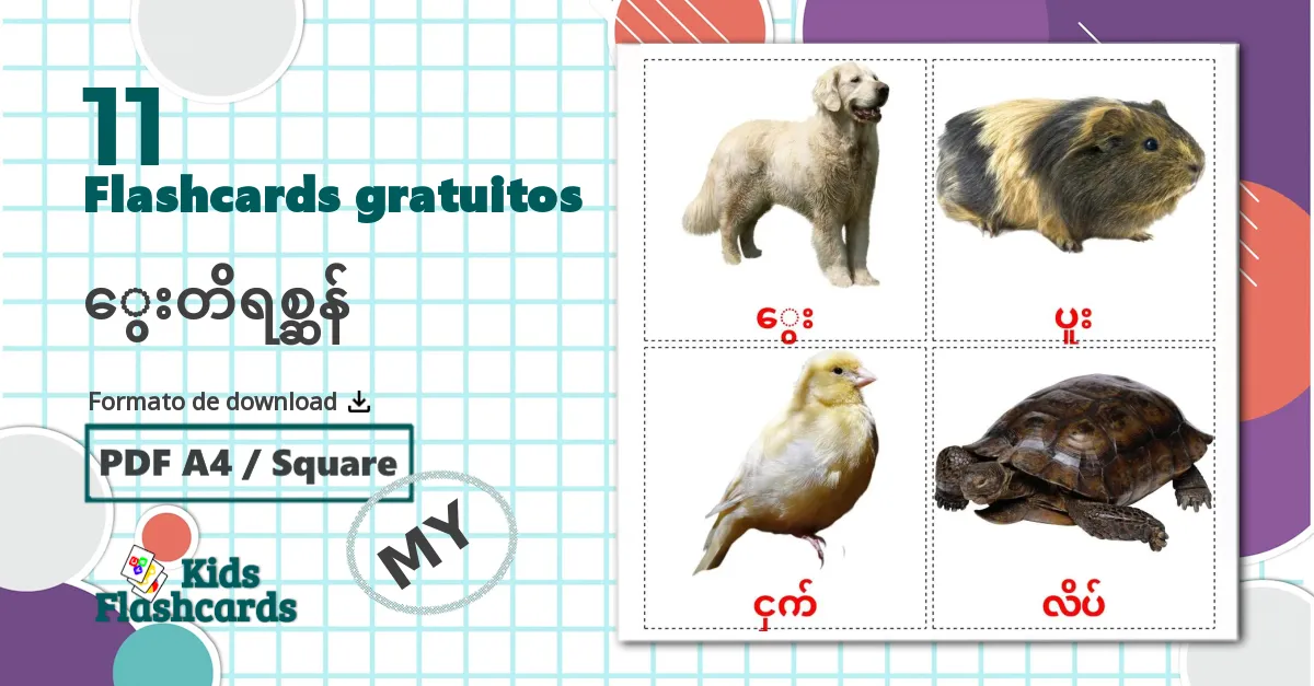 11 Flashcards de Animais Domésticos