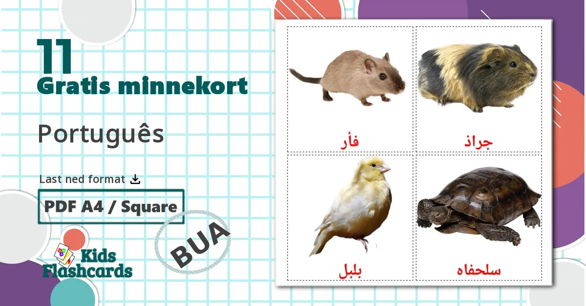 11 Husdyr lasten kuvakortit