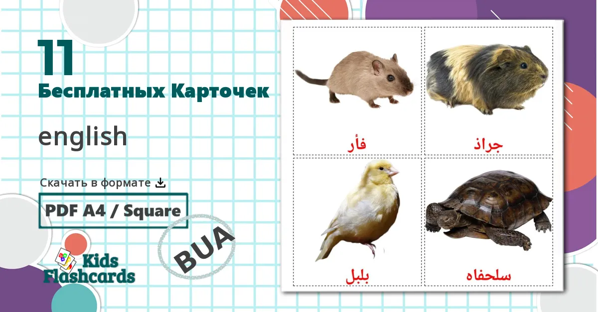 11 Карточки Домана Цифры (1-20)