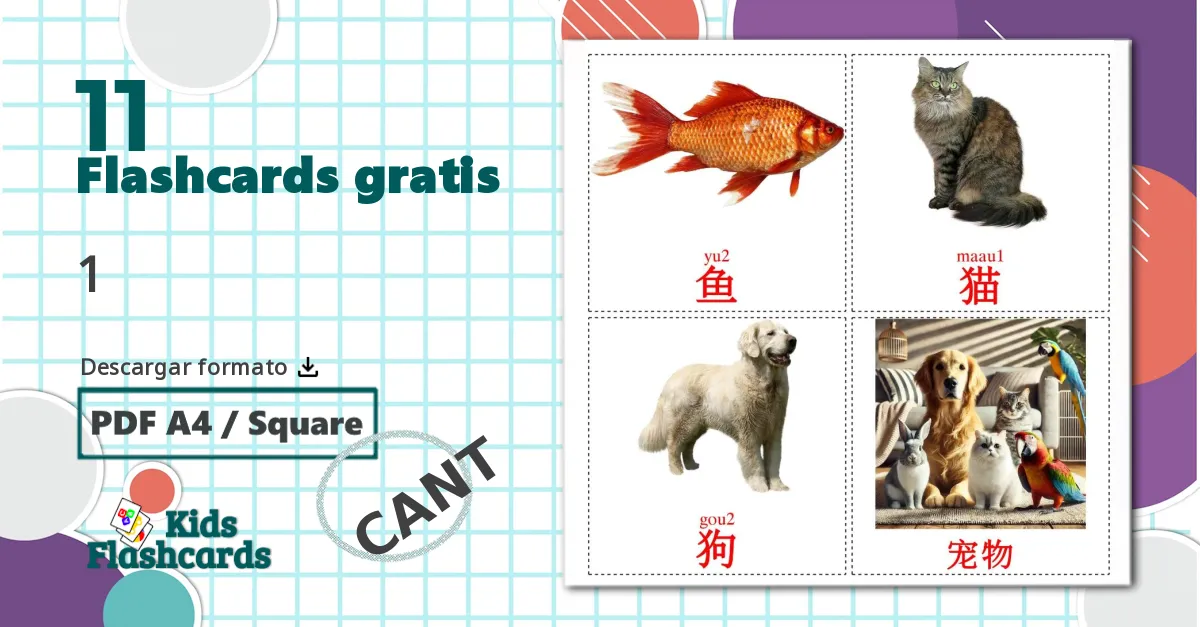 11 Animales de la Selva billedkort for børn