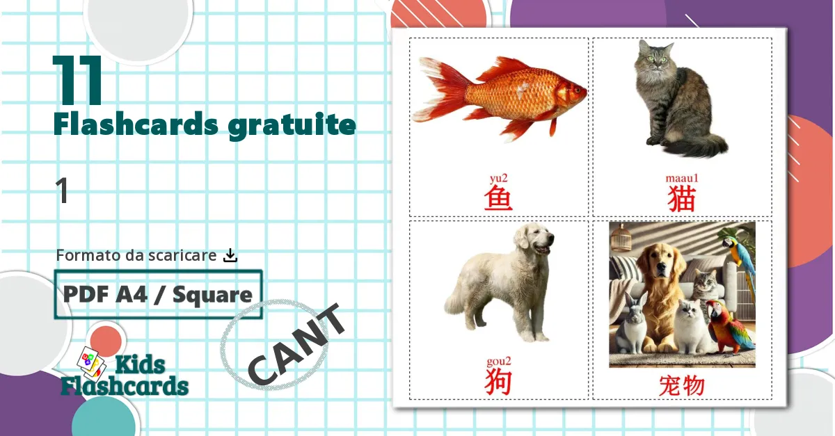 0 Animali Domestici billedkort for børn