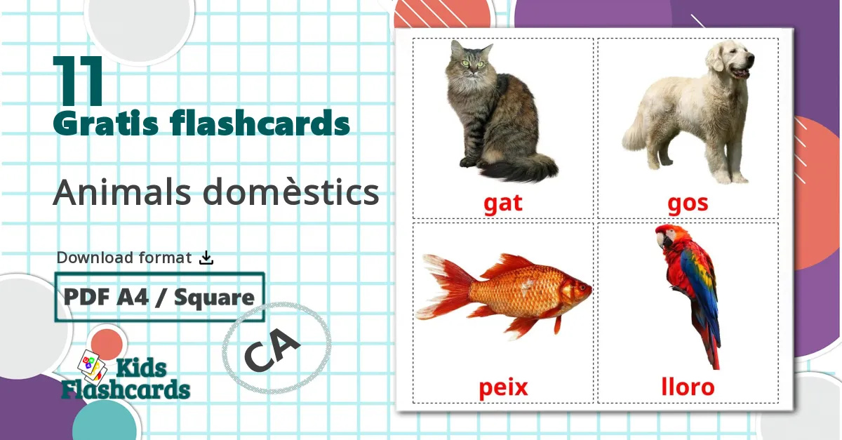 11 Animals domèstics billedkort for børn