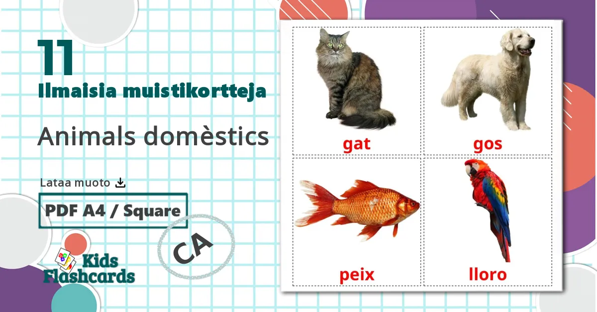 11 Animals domèstics lasten kuvakortit
