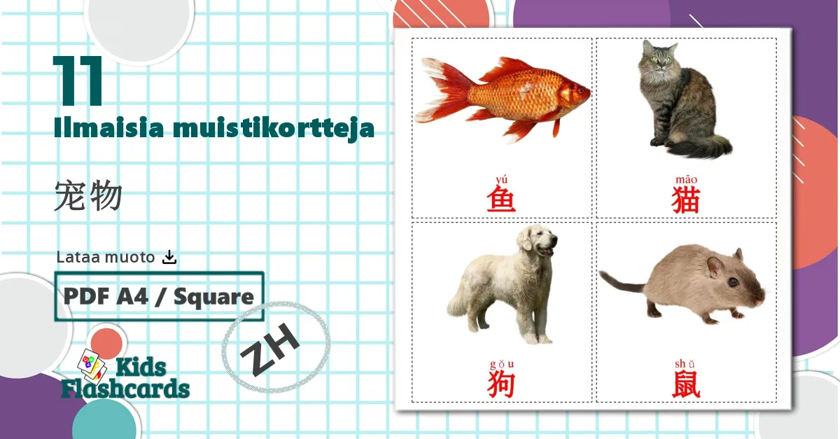 11 宠物 lasten kuvakortit