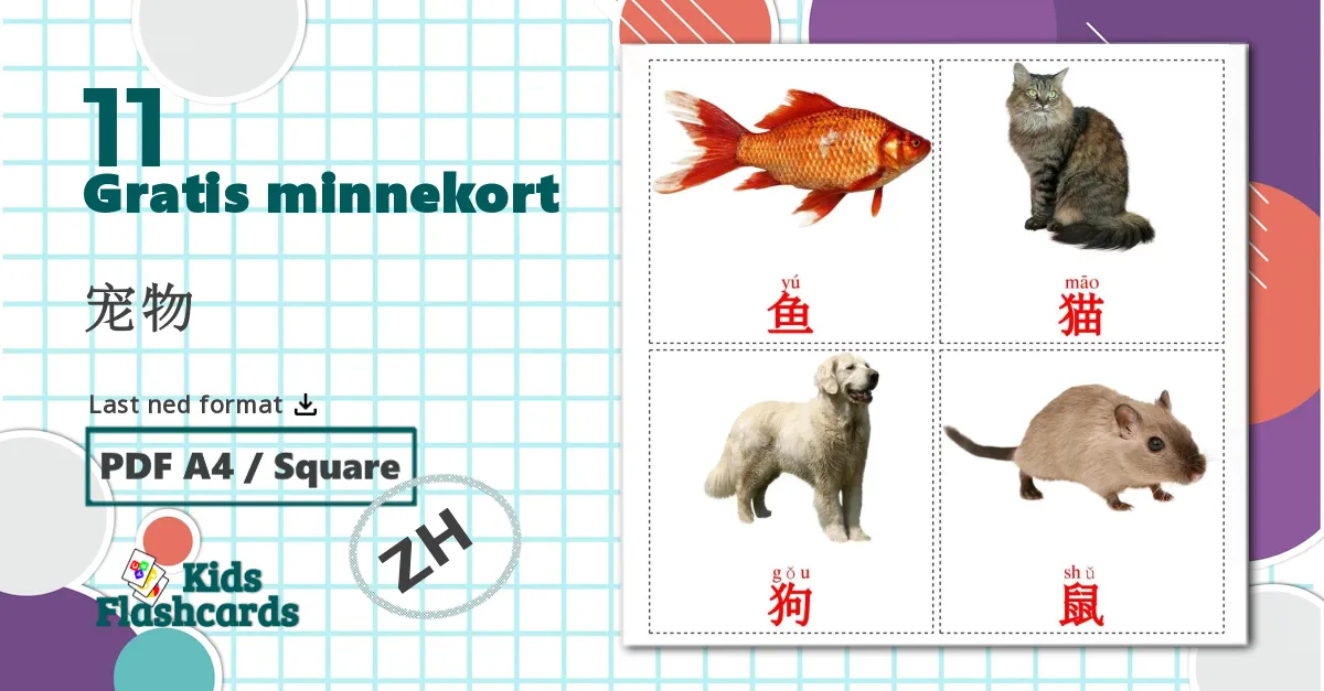 11 宠物 bildekort