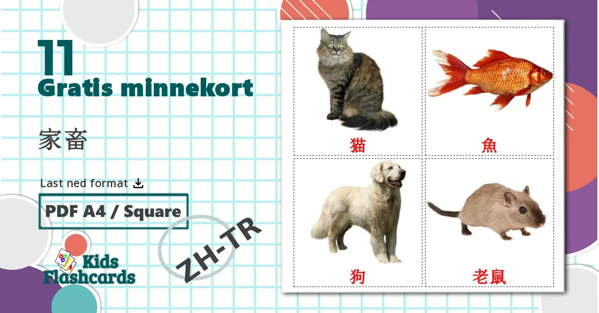 11 家畜 bildekort