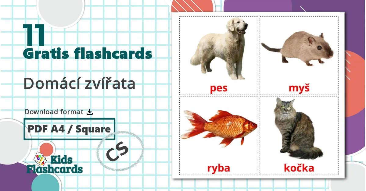 11 Domácí zvířata billedkort for børn