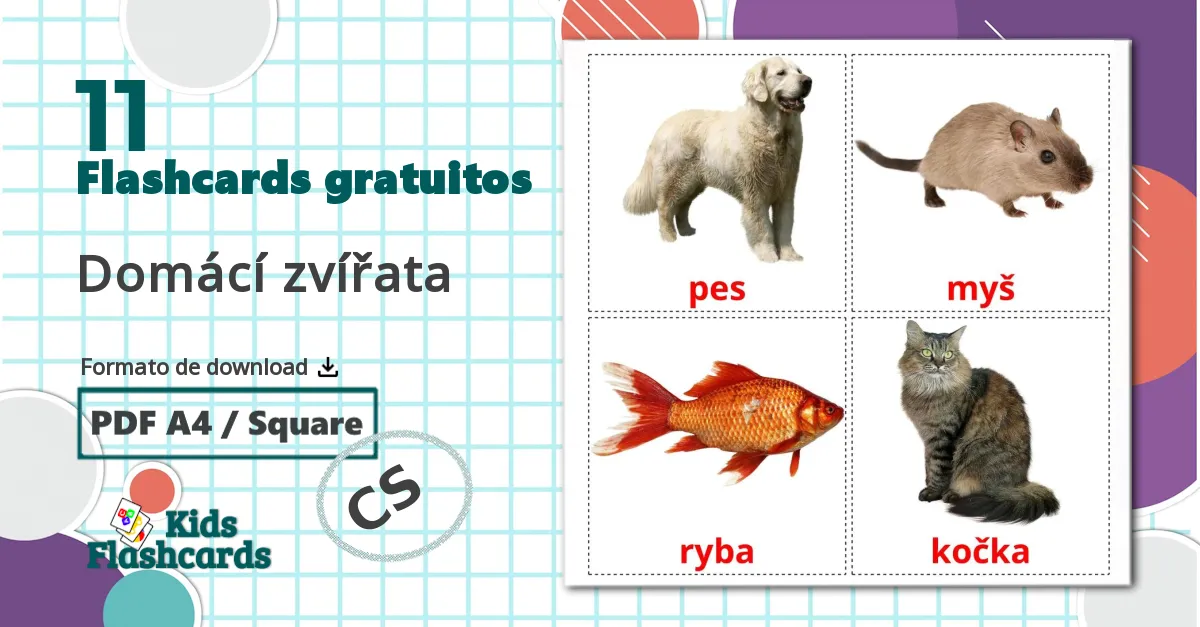 11 Flashcards de Domácí zvířata