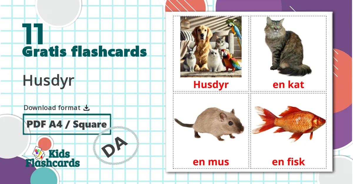 11 Husdyr billedkort for børn