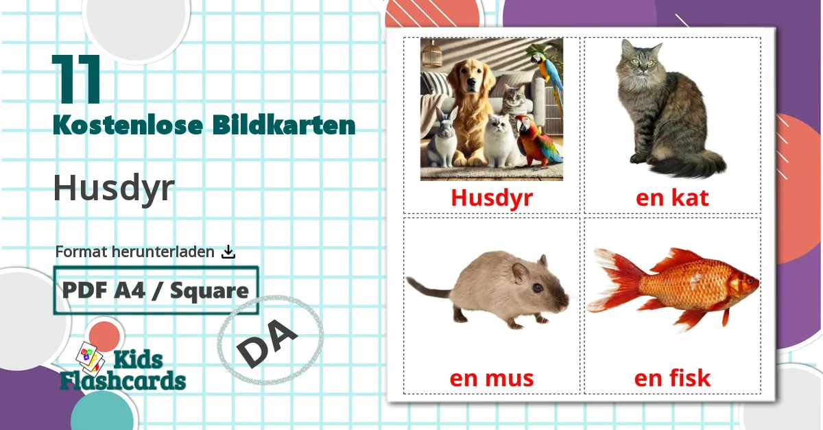 11 Bildkarten für Husdyr