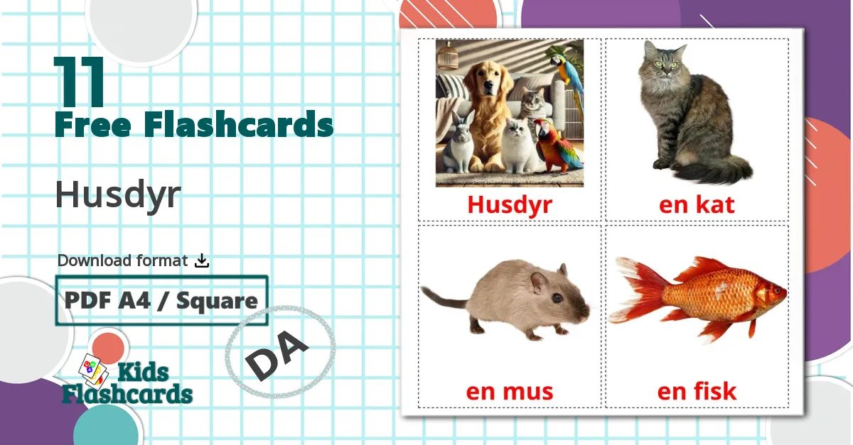 11 Husdyr flashcards