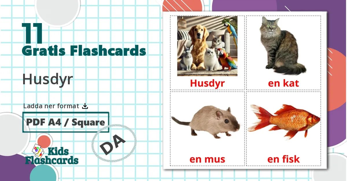 11 Husdyr bildkort för barn