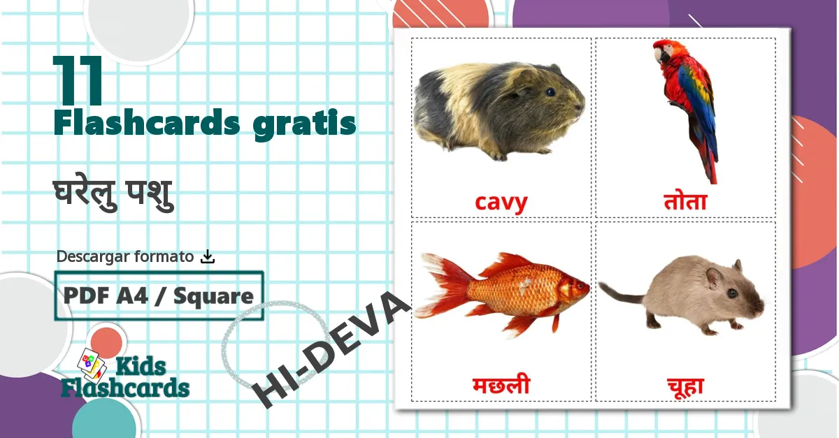 11 tarjetas didacticas de घरेलु पशु