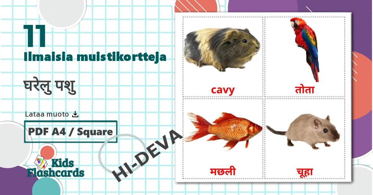 11 घरेलु पशु lasten kuvakortit