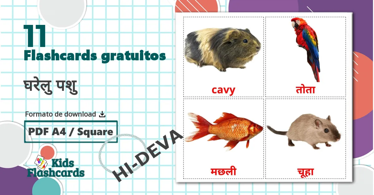 11 Flashcards de घरेलु पशु