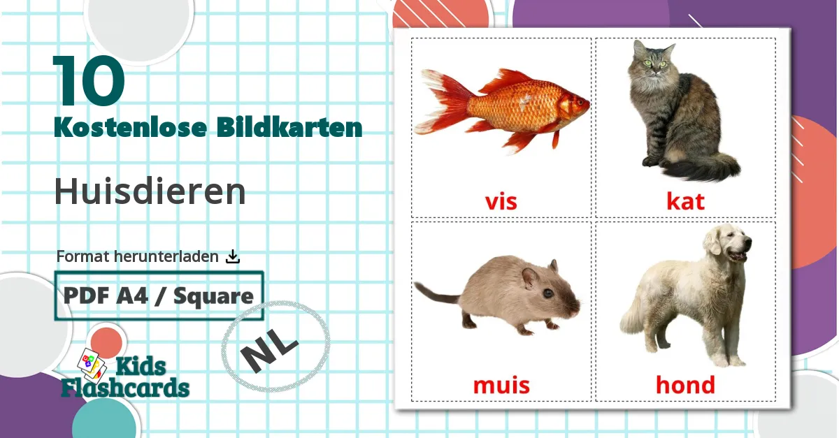 10 Bildkarten für Huisdieren