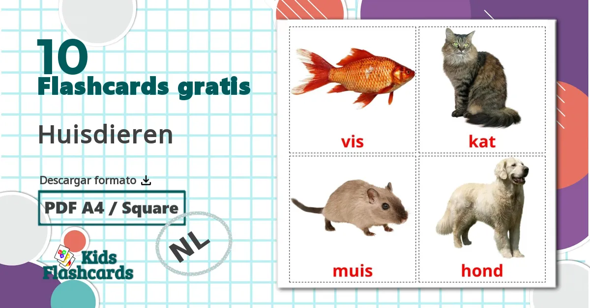 10 tarjetas didacticas de Huisdieren