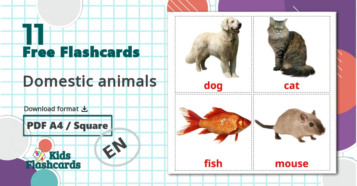 11 Domestic animals flashcards