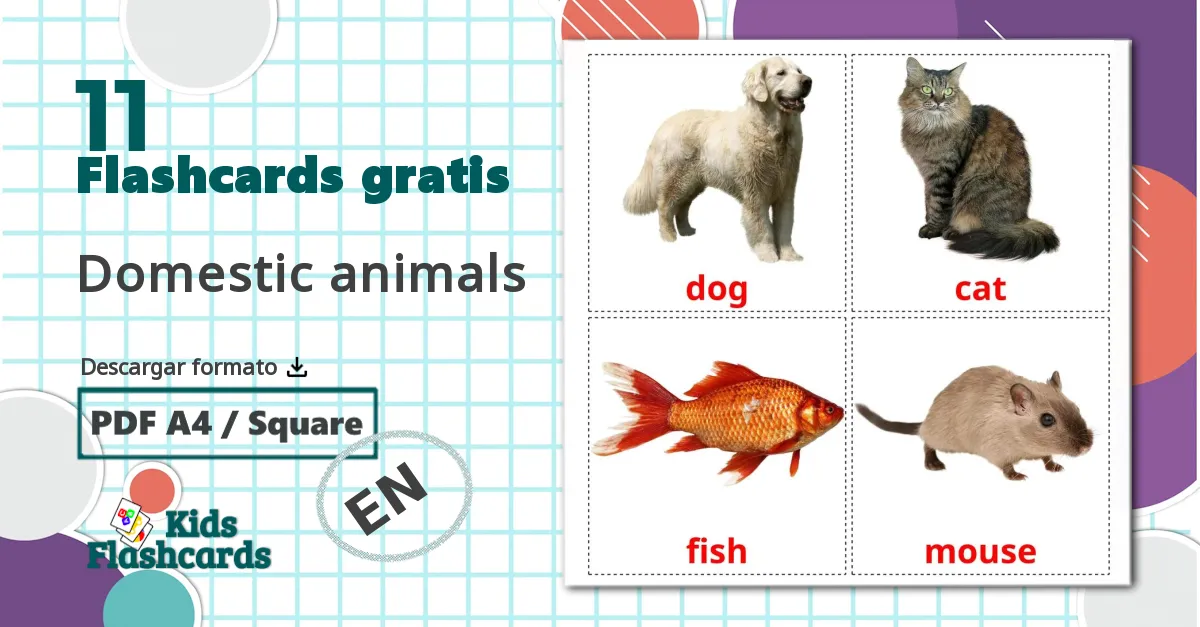 11 tarjetas didacticas de Animales Domésticos