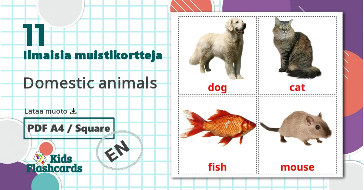 11 Domestic animals lasten kuvakortit
