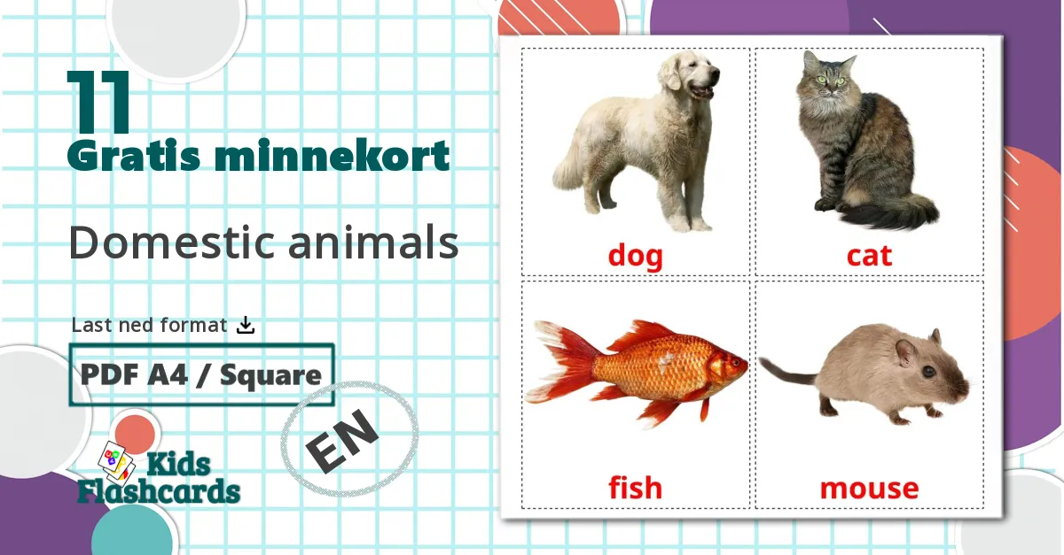 11 Domestic animals bildekort