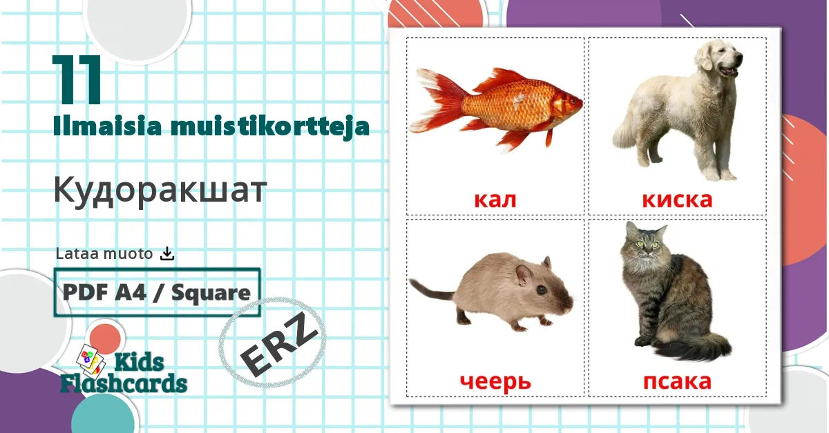 11 Кудоракшат lasten kuvakortit
